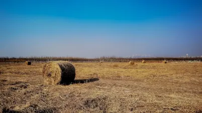 Κακαδυ Καζίνο Κινητη εφαρμογη